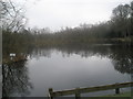 A February lunchtime at Kingsley Pond