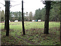 Thorpe Woodlands camping site