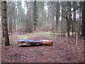 Path skirting Thorpe Woodlands campsite