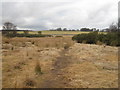 Footpath across High Moor