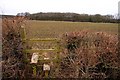 Stile on the footpath to Bernwood Forest