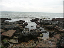 SZ0382 : Studland Beach : Rocks & Seaweed by Lewis Clarke