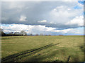 Fields near Pentre-Dafydd