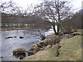 River Swale near East Applegarth