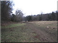 Footpath near Billy Bank Wood