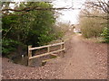 Alderney: the very top of Bourne Bottom