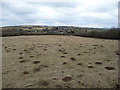 Sheep pasture near Brandhill Farm