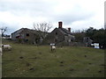 A Shropshire hill farm