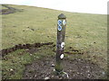 SO3887 : Waymarker post on the Long Mynd by Jeremy Bolwell
