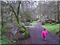 Gortin Glens Forest Park (24)