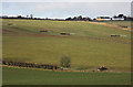 Cross Cottages on the horizon