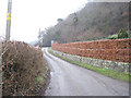 Lane up to A458 just east of Trewern