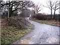 Farm track to Theale Farm