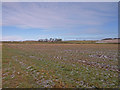 Farmland near Kilmaurs