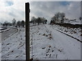 Track across Fairfield Common