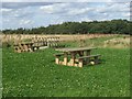 Picnic area at Wombwell Woods