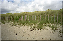 SW5131 : Well-stabilized dunes at Marazion by John Rostron