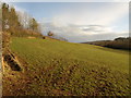 Field near Croford