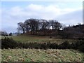 Prominent rise west of Banton Kirk