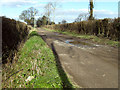 Farm track, Westonzoyland