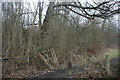 Waymarker, Eden Valley Walk