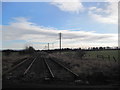 NZ3160 : Disused Railway Line near Follingsby by Les Hull