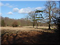 Fields near Littlewick Common