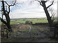 Farm track leading to the River Don