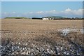 Stubble Field