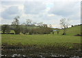 2010 : Looking north along the valley of the By Brook