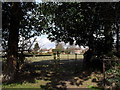 Footpath heading north from St Andrew, Tangmere