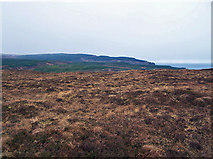 NG3156 : Moorland towards the forest by Richard Dorrell