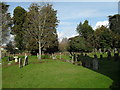 A verdant churchyard at  St Andrew, Tangmere