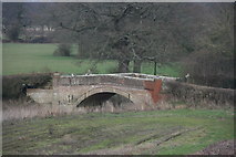 TQ5145 : Vexour Bridge by N Chadwick