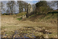 Berkhamsted Castle