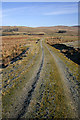 An access track by Loch Urr