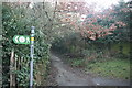 Darent Valley Path off Lambarde Rd