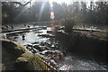 Small Weir, Bradbourne Lake