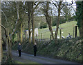 2010 : Geese and goose watchers near Bratton Church