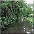 Stratford-upon-Avon Canal at Dickens Heath, Solihull