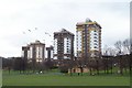 Upperthorpe Tower Blocks, viewed from The Ponderosa, Sheffield