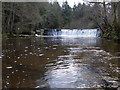 NY9763 : Dilston Weir and Fish Ladder on Devil's Water by Clive Nicholson
