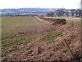 Farmland at Dilston Park