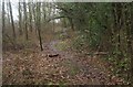 The Greensand Way near Roughstocks Wood