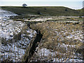 River Beal valley