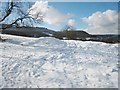 Snow-laden field near Belman Bank