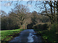 Dumpford Lane approaching Clarefield Copse