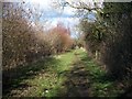 Footpath to Willersey