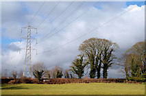 J2866 : Pylon and power lines near Lambeg by Albert Bridge