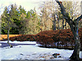 The Grounds at Kirkton Lodge